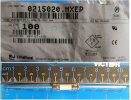 [440895] 0215020.MXEP