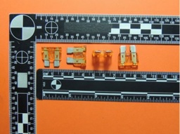 [337636] 0257005.PXPV