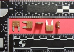 [445387] 0297005.WXNV