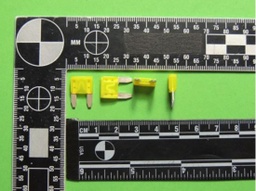 [414187] 0297020.WXNV